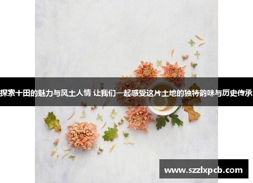 探索十田的魅力与风土人情 让我们一起感受这片土地的独特韵味与历史传承