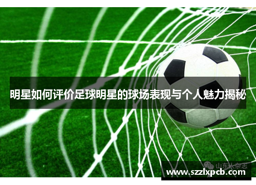 明星如何评价足球明星的球场表现与个人魅力揭秘