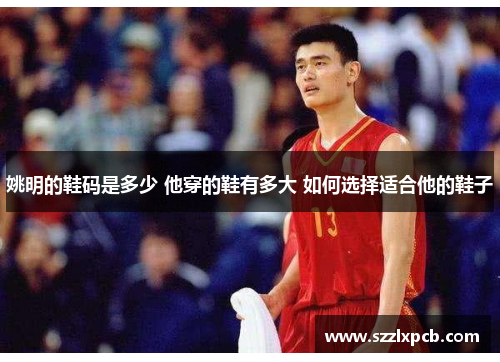 姚明的鞋码是多少 他穿的鞋有多大 如何选择适合他的鞋子