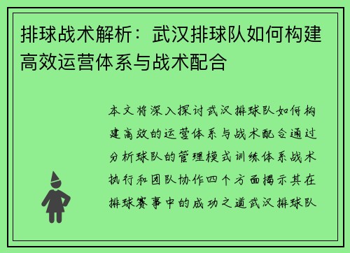 排球战术解析：武汉排球队如何构建高效运营体系与战术配合